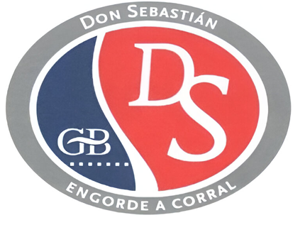 Don Sebastián